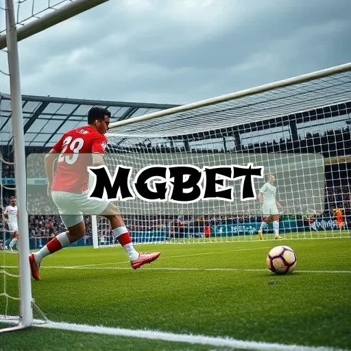 mgbet Termos